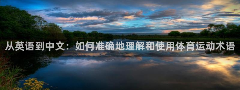 德国一竞技官方正版app集团：从英语到中文：如何准确