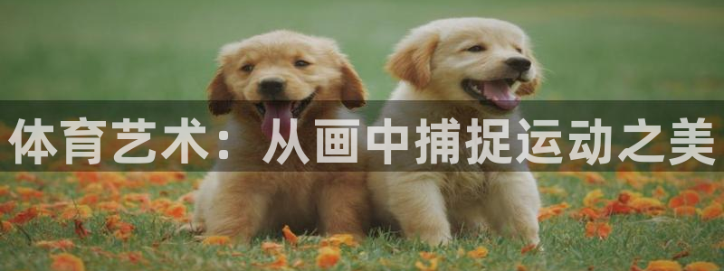 一竞技官方正版app新能源：体育艺术：从画中捕捉运动之美
