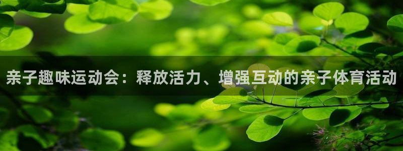 一竞技官网下载软件：亲子趣味运动会：释放活力、增强互