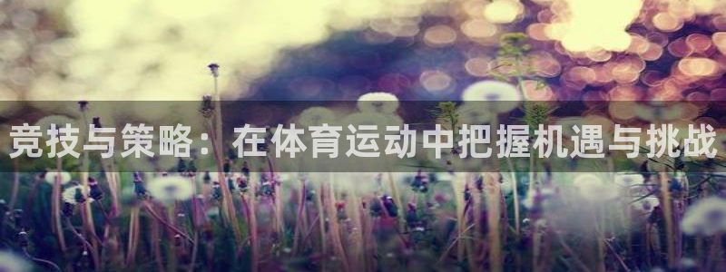 一竞技官网下载联系电话：竞技与策略：在体育运动中把握机遇与挑