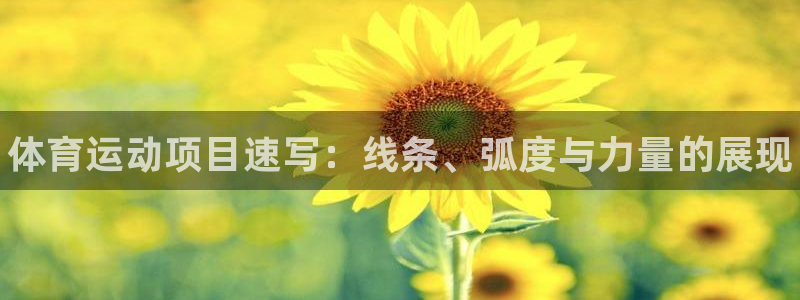 注册一竞技官方正版app：体育运动项目速写：线条、弧