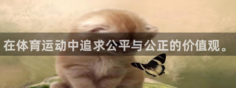 一竞技官网下载平台是正规平台吗安全吗：在体育运动中追