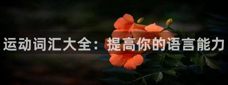 一竞技官方正版app五金厂：运动词汇大全：提高你的语言能力