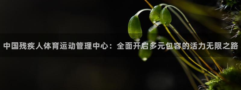一竞技官方正版app官网