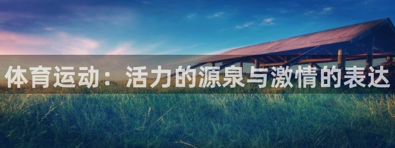 一竞技官方正版app娱乐网站：体育运动：活力的源泉与激情的表
