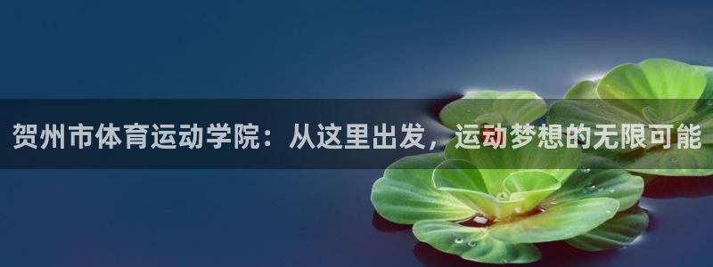 一竞技官网下载平台注册流程图：贺州市体育运动学院：从