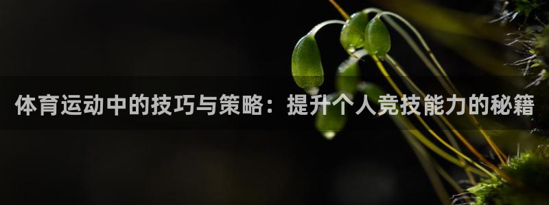 一竞技官方正版app娱乐首页官网下载