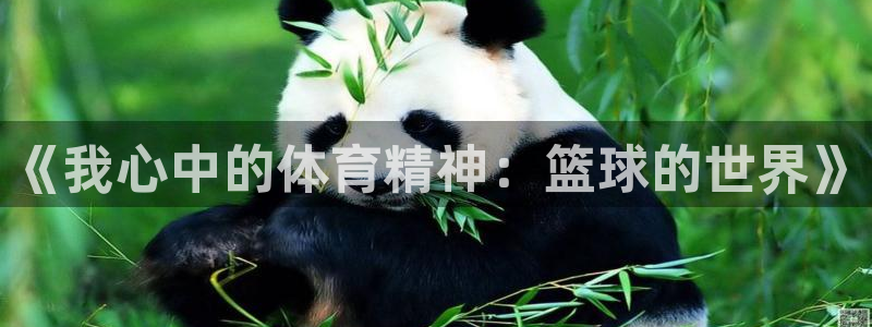 一竞技官网下载平台注册要钱吗安全吗：《我心中的体育精神：篮球