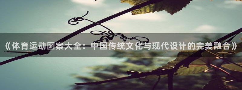 一竞技官方正版app娱乐首页官网下载：《体育运动图案