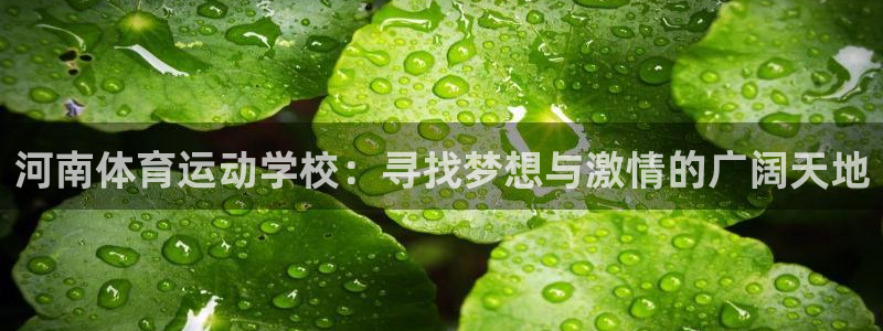 一竞技官网下载平台注册：河南体育运动学校：寻找梦想与