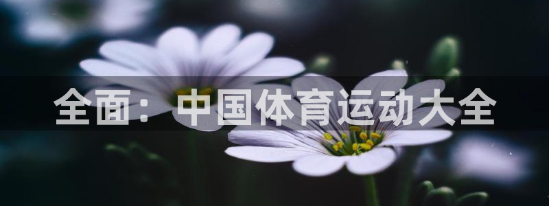 德国一竞技官方正版app集团：全面：中国体育运动大全