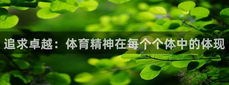 一竞技官方正版app娱乐代理怎么样：追求卓越：体育精神在每个
