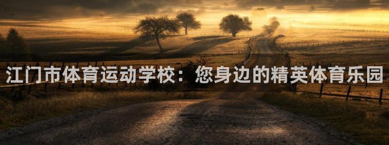 一竞技官方正版app集团简介