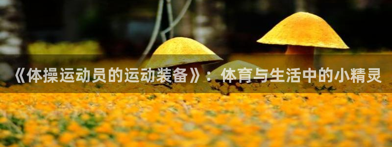 一竞技官方集团官网：《体操运动员的运动装备》：体育与生活中的