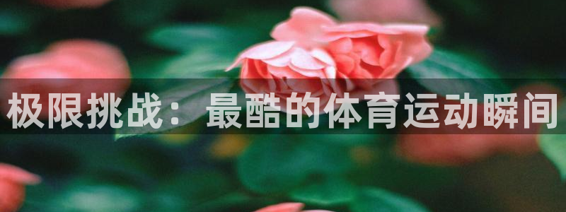 一竞技官方正版app娱乐：极限挑战：最酷的体育运动瞬间