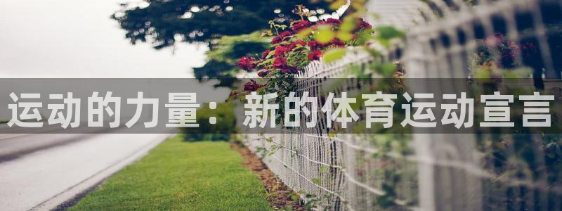 一竞技官方正版app娱乐是那个系列的台子：运动的力量：新的体