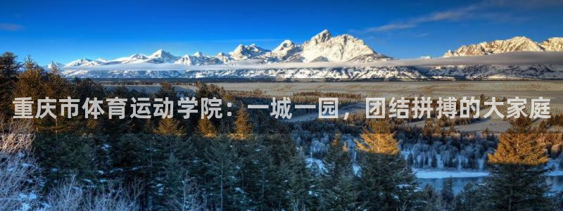 一竞技官方正版app集团