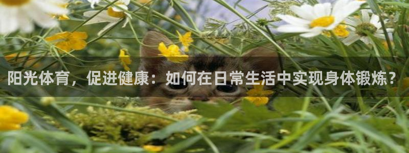 德国一竞技官方正版app集团：阳光体育，促进健康：如