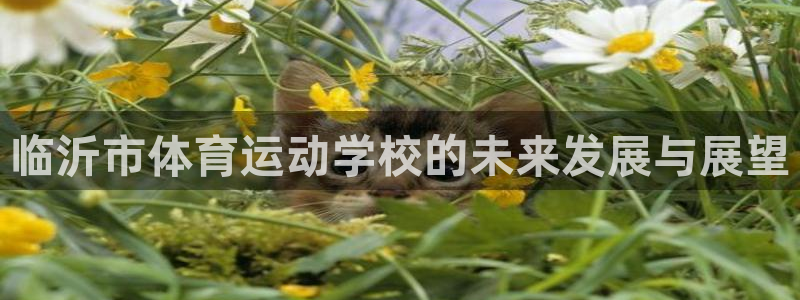 一竞技官方正版app集团:临沂市体育运动学校的未来发展与展望