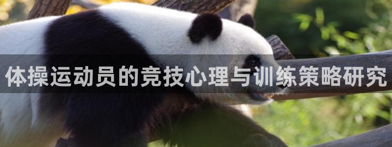 一竞技官网下载招商电话地址是多少