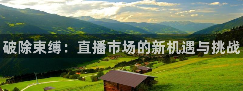 小九直播体育免费直播