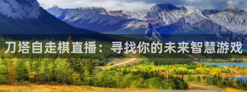 小九篮球直播