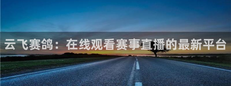 小九直播nba免费观看：云飞赛鸽：在线观看赛事直播的最新平台