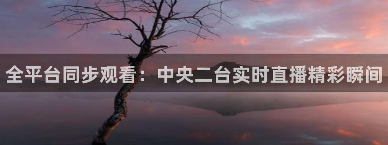 小九直播官网：全平台同步观看：中央二台实时直播精彩瞬间