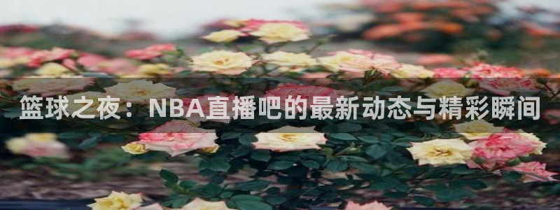 小九直播篮球：篮球之夜：NBA直播吧的最新动态与精彩瞬间