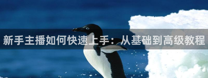小九直播乐悠足球免费观看：新手主播如何快速上手：从基础到高级教程