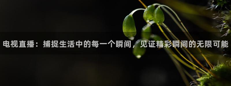 小九英超直播免费观看高清：电视直播：捕捉生活中的每一个瞬间，见证精彩瞬间的无限可能