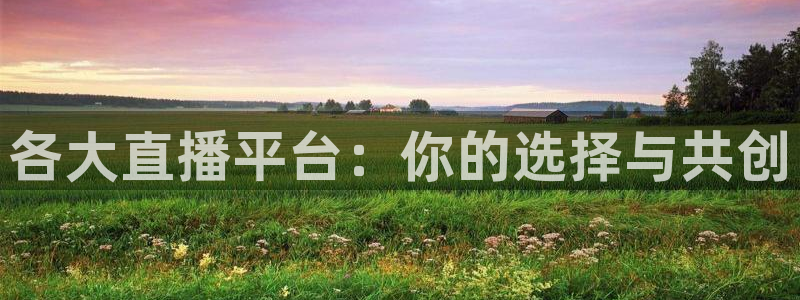 小九直播乐悠足球免费观看：各大直播平台：你的选择与共创