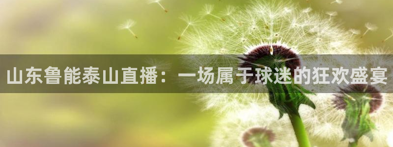 jrs小九直播低调：山东鲁能泰山直播：一场属于球迷的狂欢盛宴