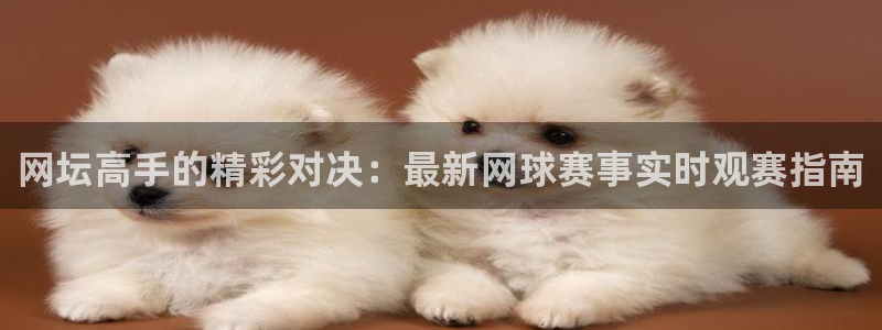 小九直播nba在线观看：网坛高手的精彩对决：最新网球赛事实时观赛指南